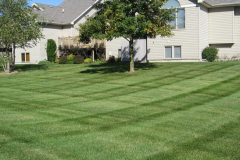 lawn-maintenance